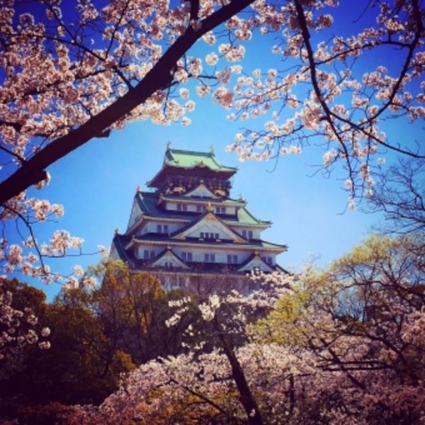 大阪 女性公認会計士はIPO支援を行っております